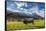 Cow in the green pastures framed by the high peaks of the Alps, Garmisch Partenkirchen, Upper Bavar-Roberto Moiola-Framed Stretched Canvas