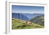 Cow in the green pastures with Lake Como and peaks in the background Gravedona, Italy-Roberto Moiola-Framed Photographic Print