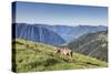 Cow in the green pastures with Lake Como and peaks in the background Gravedona, Italy-Roberto Moiola-Stretched Canvas