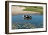 Cow in the River-Alena Zamotaeva-Framed Photographic Print