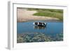 Cow in the River-Alena Zamotaeva-Framed Photographic Print