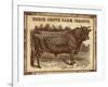 Cow - Jerseys 2-The Saturday Evening Post-Framed Giclee Print