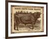 Cow - Jerseys 2-The Saturday Evening Post-Framed Giclee Print