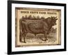 Cow - Jerseys 2-The Saturday Evening Post-Framed Giclee Print