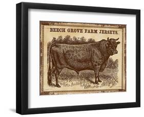 Cow - Jerseys 2-The Saturday Evening Post-Framed Premium Giclee Print