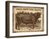 Cow - Jerseys 2-The Saturday Evening Post-Framed Giclee Print