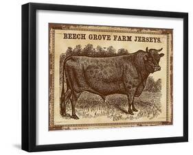 Cow - Jerseys 2-The Saturday Evening Post-Framed Giclee Print