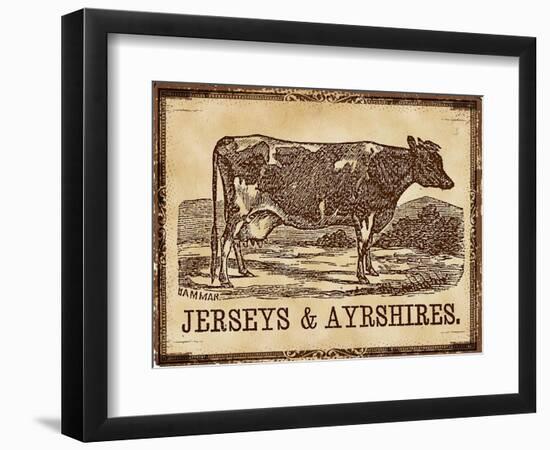 Cow - Jerseys-The Saturday Evening Post-Framed Premium Giclee Print