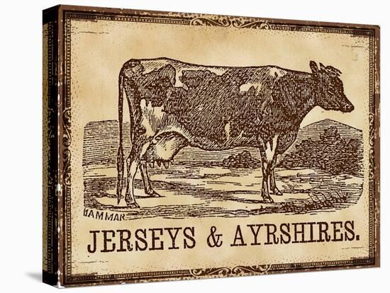 Cow - Jerseys-The Saturday Evening Post-Stretched Canvas