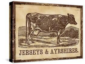 Cow - Jerseys-The Saturday Evening Post-Stretched Canvas