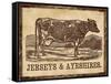 Cow - Jerseys-The Saturday Evening Post-Framed Stretched Canvas