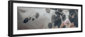 Cow Just Licking Good-null-Framed Photographic Print
