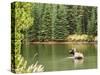 Cow Moose Feeding in Moose Lake, Jasper National Park, UNESCO World Heritage Site, Alberta, Canada-Jochen Schlenker-Stretched Canvas