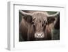 Cow Nose Light-Nathan Larson-Framed Photographic Print