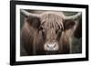 Cow Nose Light-Nathan Larson-Framed Photographic Print