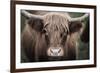 Cow Nose Light-Nathan Larson-Framed Photographic Print