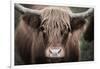 Cow Nose Light-Nathan Larson-Framed Photographic Print