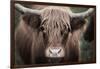 Cow Nose Light-Nathan Larson-Framed Photographic Print