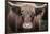 Cow Nose Light-Nathan Larson-Framed Photographic Print