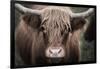 Cow Nose Light-Nathan Larson-Framed Photographic Print