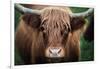 Cow Nose-Nathan Larson-Framed Photographic Print