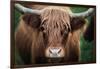 Cow Nose-Nathan Larson-Framed Photographic Print