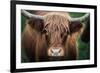 Cow Nose-Nathan Larson-Framed Photographic Print