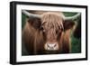 Cow Nose-Nathan Larson-Framed Photographic Print