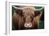 Cow Nose-Nathan Larson-Framed Photographic Print