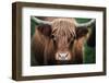 Cow Nose-Nathan Larson-Framed Photographic Print