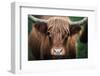 Cow Nose-Nathan Larson-Framed Photographic Print