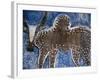 Cow on a Graveyard Headstone near an Oromo village, Ethiopia-Janis Miglavs-Framed Photographic Print