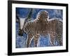 Cow on a Graveyard Headstone near an Oromo village, Ethiopia-Janis Miglavs-Framed Photographic Print