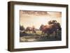 Cow on Grass Meadow Vintage-SweetCrisis-Framed Photographic Print