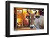 Cow Outside a Shop in the Street in Thekkady, Kerala, India, Asia-Martin Child-Framed Photographic Print