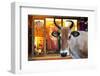 Cow Outside a Shop in the Street in Thekkady, Kerala, India, Asia-Martin Child-Framed Photographic Print