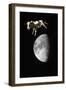 Cow over the Moon-null-Framed Photographic Print