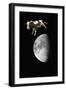 Cow over the Moon-null-Framed Photographic Print