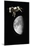 Cow over the Moon-null-Mounted Photographic Print