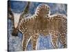 Cow Painted on a Headstone Near an Oromo Village, Ethiopia-Janis Miglavs-Stretched Canvas