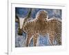 Cow Painted on a Headstone Near an Oromo Village, Ethiopia-Janis Miglavs-Framed Photographic Print