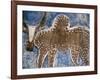 Cow Painted on a Headstone Near an Oromo Village, Ethiopia-Janis Miglavs-Framed Photographic Print