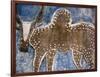 Cow Painted on a Headstone Near an Oromo Village, Ethiopia-Janis Miglavs-Framed Photographic Print