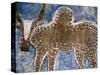 Cow Painted on a Headstone Near an Oromo Village, Ethiopia-Janis Miglavs-Stretched Canvas