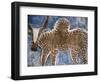 Cow Painted on a Headstone Near an Oromo Village, Ethiopia-Janis Miglavs-Framed Photographic Print