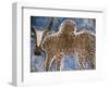 Cow Painted on a Headstone Near an Oromo Village, Ethiopia-Janis Miglavs-Framed Photographic Print