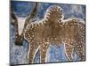 Cow Painted on a Headstone Near an Oromo Village, Ethiopia-Janis Miglavs-Mounted Photographic Print