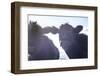Cow Pair Sunbeams-null-Framed Photographic Print