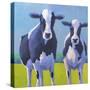 Cow Pals II-Carol Young-Stretched Canvas