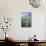 Cow Parsely (Anthriscus Sylvestris) in Meadow at Dawn, Nemunas Regional Reserve, Lithuania, June-Hamblin-Photographic Print displayed on a wall